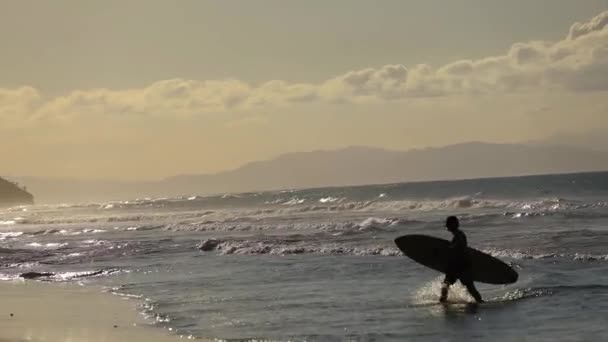 Surfer Comes Out Water Sunset Caribbean Beach His Surf Board — Vídeo de stock