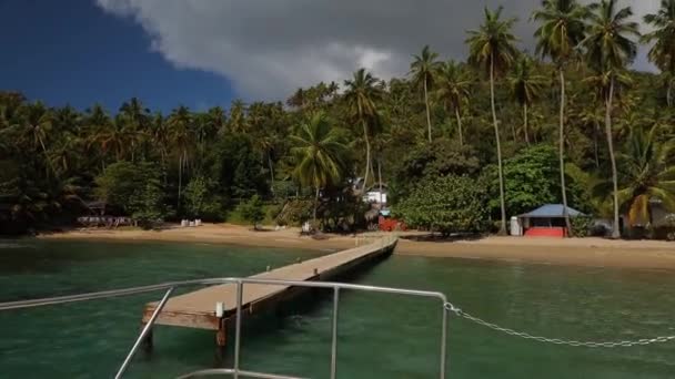Boat Leaves Pier Exotic Caribbean Beach Palms Green Ocean High — 비디오