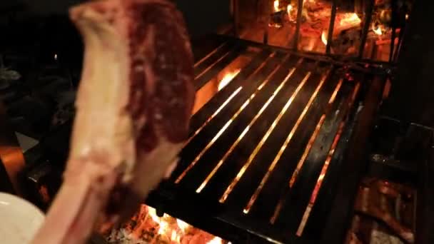 Raw Piece Juicy Bone Meat Stake Put Open Fire Grill — Vídeo de Stock