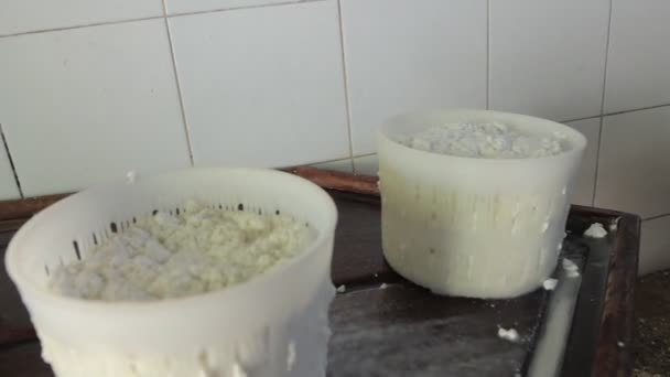 White Cottage Cheese Two Bowls Scoop Puts More One Them — 图库视频影像