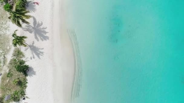 Aerial Drone Top Shot Exotic Idyllic Cinematographic White Beach Turquoise — 비디오
