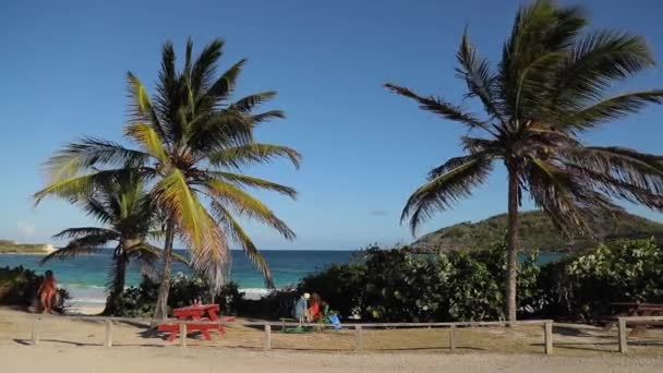 Exotisch Idyllisch Cinematografisch Strand Palmbomen Turquoise Oceaan Winderig Weer Hoge — Stockvideo