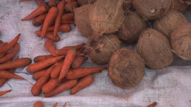 Top Shot Many Brown Ripe Coconuts Laying Piles Orange Carrot — 图库视频影像