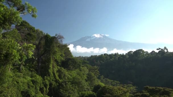 Long Time Lapse Majestic Kilimanjaro Snowy Mountain Green Bushes Front — Stockvideo