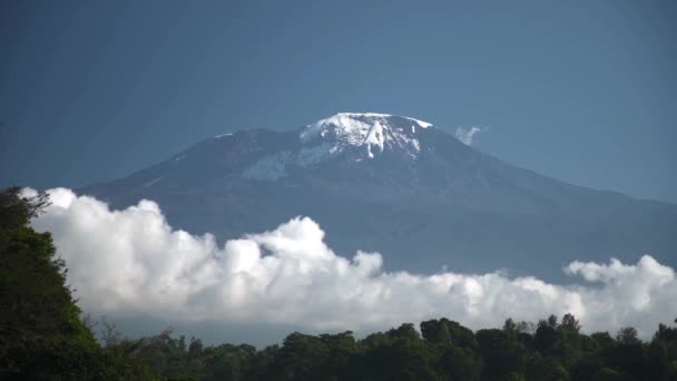 Long Time Lapse White Clouds Move Majestic Kilimanjaro Snowy Mountain — Vídeos de Stock