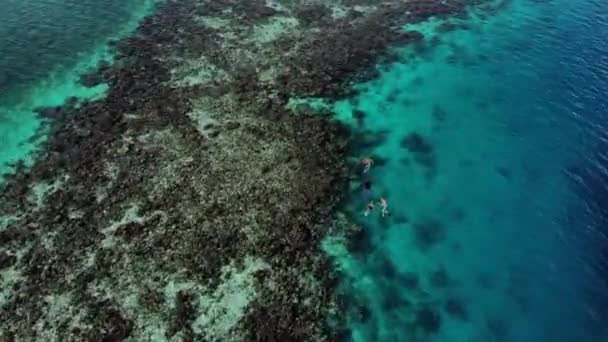 Aerial View Drone Shot Catamaran People Swimming Great Blue Hole — Stockvideo