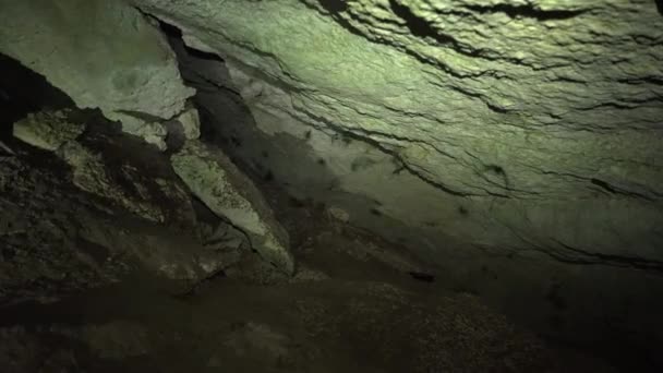 Many Bats Flying Cave Lit Flashlight Night Cave Bats — Vídeos de Stock