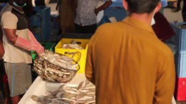 Man collect fish into the box on fish market, man pours out fish from basket...