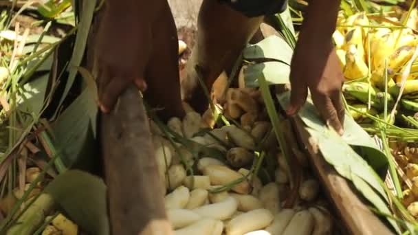 Black Mans Legs Smash Bananas Green Leaves Making Banana Beer — Stok video