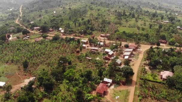 Dron Střílel Nad Chudinskou Vesnicí Uganda Zelenými Palmami Hliněnými Domy — Stock video