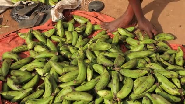 Big Pile Green Bananas Black Womans Hands Peel Take Some — Stock Video