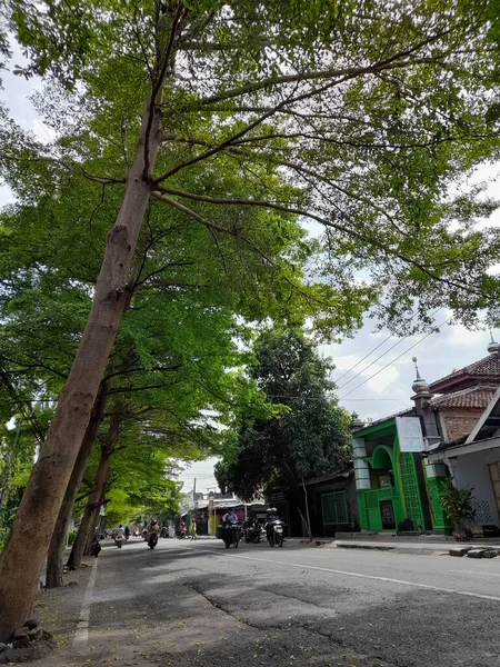 大気汚染や熱を減らすために大きな木が並ぶアジアの都市部では — ストック写真