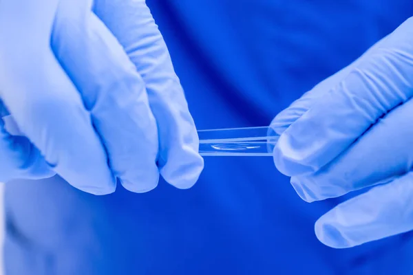 Close up médico pesquisador carrega amostras biológicas em um vidro para microscópio. Teste de ADN, conceito de laços familiares — Fotografia de Stock