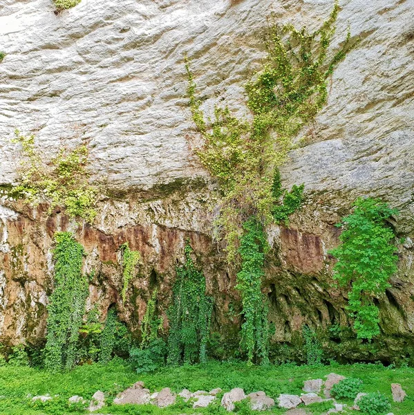 Viajar a las montañas concepto. Rocas de cuevas con hierba verde e hiedra. Pared de roca —  Fotos de Stock