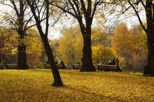 Fall Park Scenery Beautiful Colors Autumn Nature Golden Leaves Ground — Stock Photo, Image