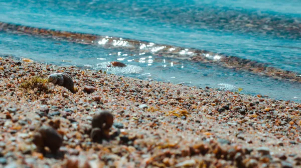 Foto Diverse Belle Pietre Sulla Riva Del Mare Blu Con — Foto Stock