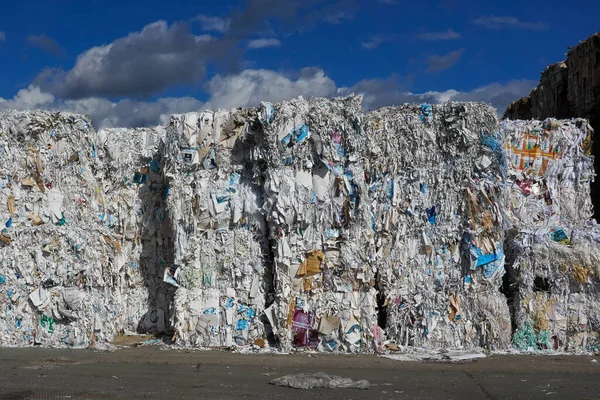 Büyük miktarda atık kağıdın fotoğrafı..