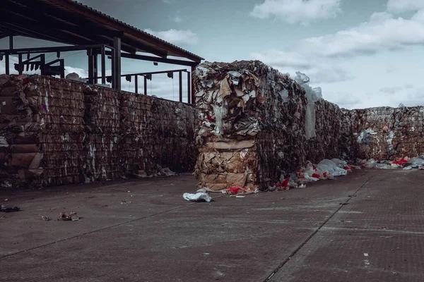 쓰레기장에서 쓰레기와 쓰레기를 — 스톡 사진