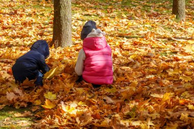 Sonbaharda parkta sarı ve turuncu akçaağaç yaprakları toplayan çocukların fotoğrafları..