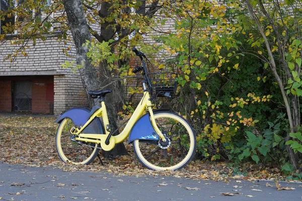 Sárga Kerékpár Áll Utcán Udvaron Közel Zöld Fák — Stock Fotó