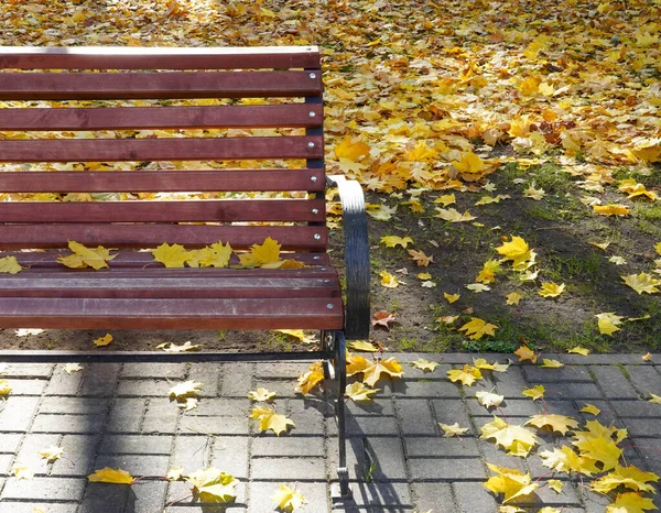 Sonbaharda Parktaki Kahverengi Ahşap Bir Bankın Fotoğrafı Ağaçların Düşmüş Sarı — Stok fotoğraf