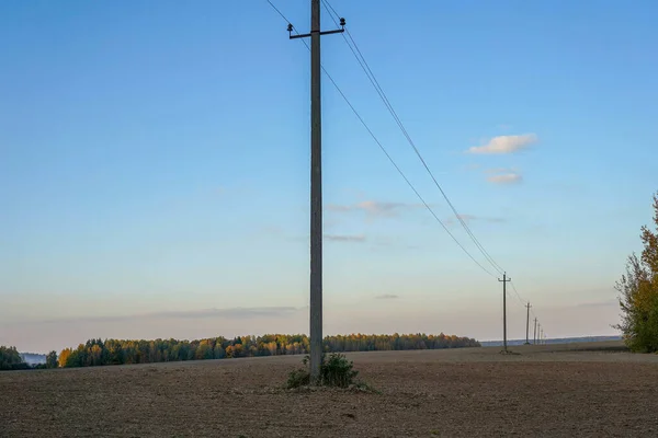 澄んだ青空を背景に 電信柱のある森の隣の畑の写真 — ストック写真