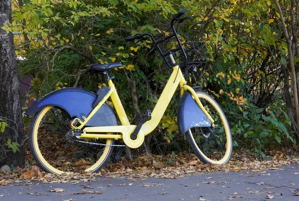 Żółty Rower Stoi Ulicy Podwórku Pobliżu Zielonych Drzew — Zdjęcie stockowe