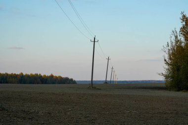 Ormanın yanındaki bir tarlanın fotoğrafı, açık mavi bir gökyüzünün arka planına karşı direkli kablolar..