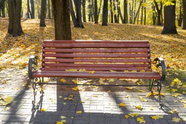 Sonbaharda parktaki kahverengi ahşap bir bankın fotoğrafı ağaçların ve düşmüş sarı yaprakların arka planına karşı..