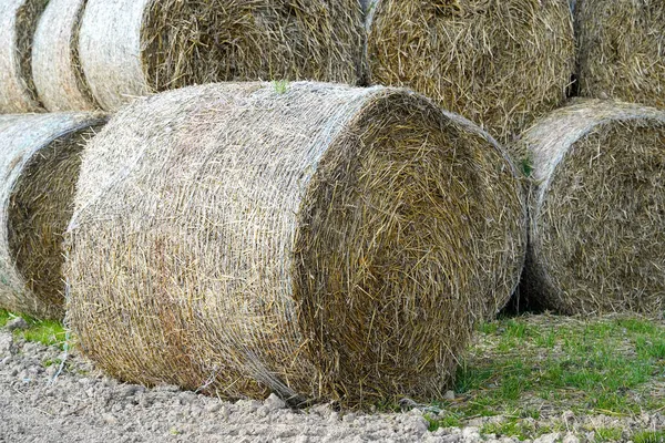 Zdjęcie Stogów Siana Polu Ulicy — Zdjęcie stockowe