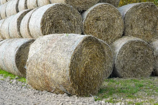 Zdjęcie Stogów Siana Polu Ulicy — Zdjęcie stockowe