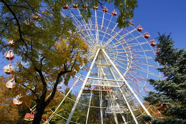 Foto Una Noria Otoño Parque Con Árboles Amarillos Ciudad — Foto de Stock