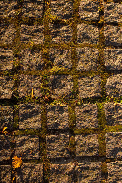 Vertical close up photo of cobble road with green grass growing between cobbles on the street.