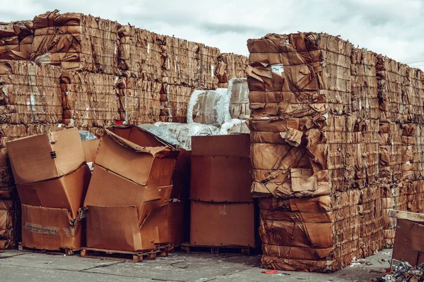 Foto Einer Großen Menge Karton Auf Der Müllkippe Der Straße — Stockfoto