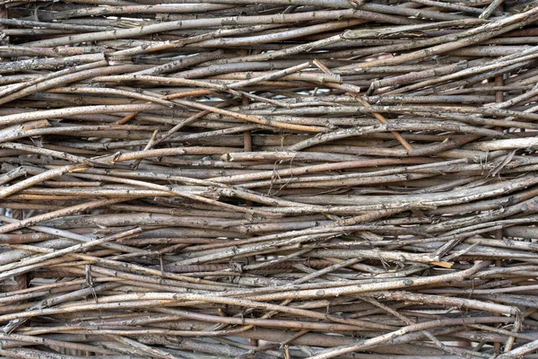 Photo Intertwined Brown Thin Long Tree Roots Fence Abstract Natural — Stock Photo, Image