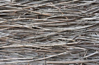 Çit için birbirine dolanmış ince, kahverengi ağaç köklerinin fotoğrafı. Soyut ve doğal arkaplan.