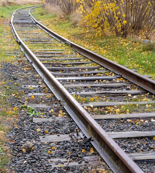 Κάθετη Φωτογραφία Από Μια Ξύλινη Παλιά Σιδηροδρομικές Γραμμές Και Πράσινο — Φωτογραφία Αρχείου