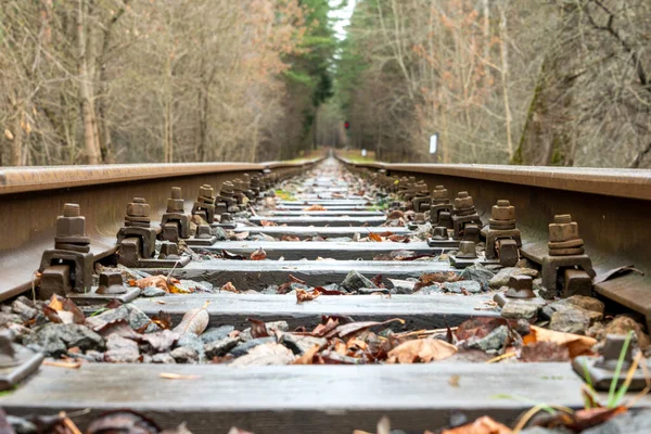 Ormandaki Bir Demiryolunun Bir Ekran Koruyucu Için Güzel Alçak Bir — Stok fotoğraf