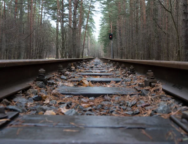 Railroad Close Screensaver — Stock Photo, Image