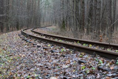 Ormandaki demiryolu ormana gidiyor.