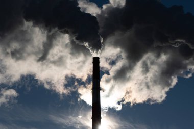 Pipodan duman yükseliyor, gökyüzü masmavi. Hava kirliliği çevresi