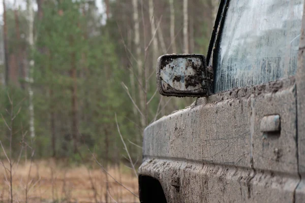 Kirli Bir Arabanın Ormanda Bir Yan Aynanın Fotoğrafı — Stok fotoğraf