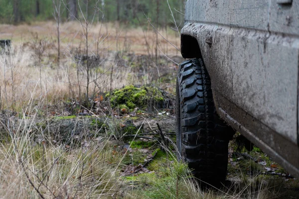 Photograph Jeep Impenetrable Forests — Fotografia de Stock