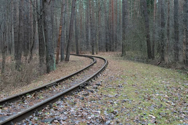 Foto Van Een Oude Verlaten Spoorweg Bezaaid Met Oranje Gele — Stockfoto