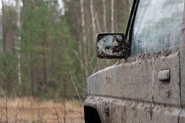 Foto Van Een Vuile Auto Een Zijspiegel Het Bos — Stockfoto