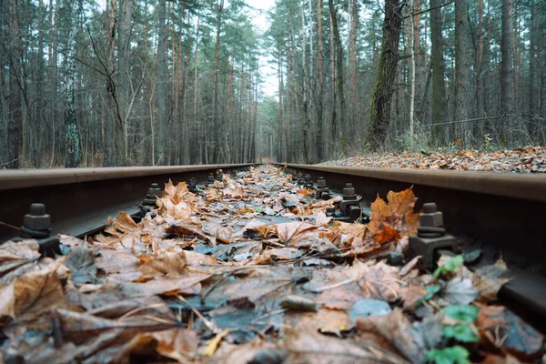 Close Photo Old Wooden Abandoned Railway Strewn Orange Yellow Muddy — Stock Fotó
