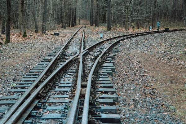 Elhagyott Vasút Lehullott Levelekkel Vasúti Szállítás Koncepciója Utazási Koncepció Vasút — Stock Fotó