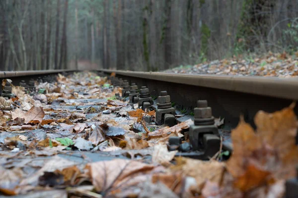 Demiryolu Sonbahar Yapraklarının Fotoğrafı — Stok fotoğraf