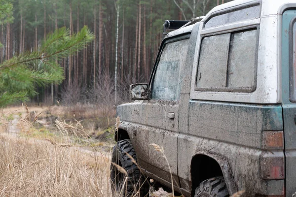 Photo Une Jeep Sur Une Route Forestière — Photo