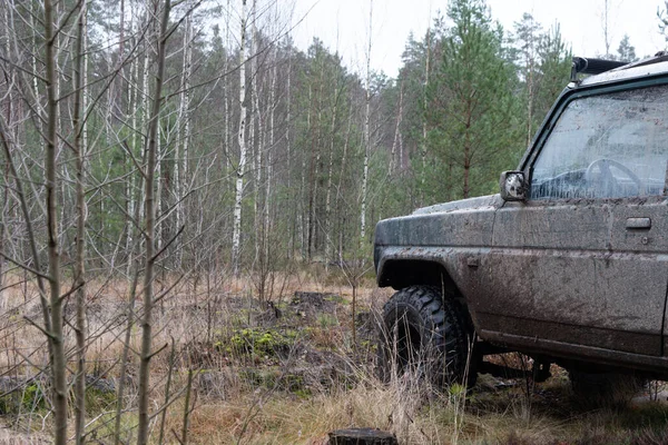 Jeep Erdőben Fák Között — Stock Fotó